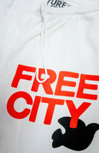 Load image into Gallery viewer, FREE CITY LARGE SWEATPANT