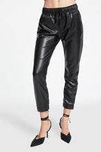 Load image into Gallery viewer, Blake Ankle Zip Jogger
